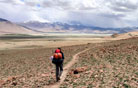 Rumtse-Tsomoriri Tour, Ladakh-Leh Tour Packages